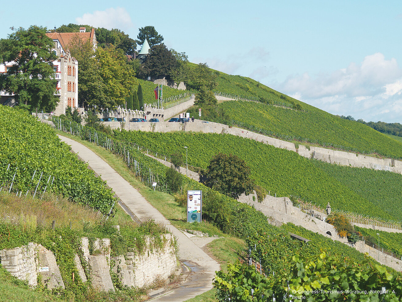 Stein-Wein-Pfad Stein-Wein-Pfad