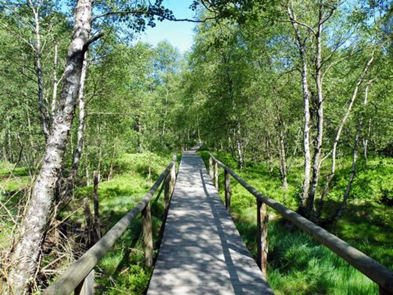 Rotes Moor Rotes Moor