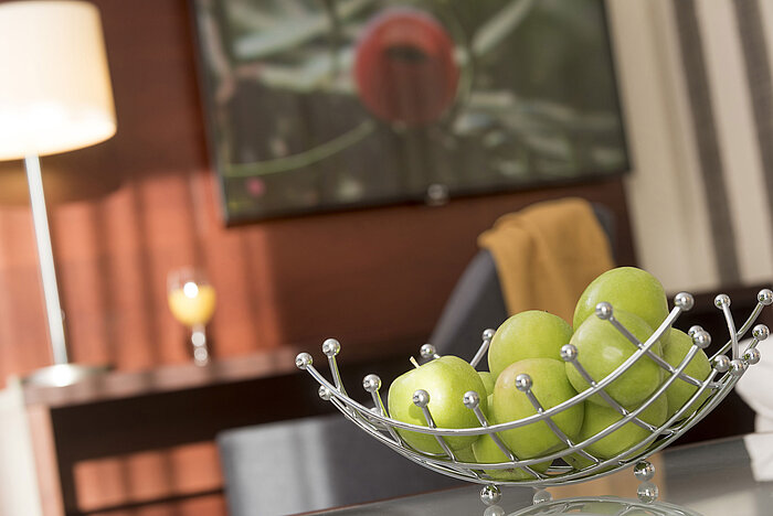 The Maritim Hotel Königswinter on the Rhine with a view of the Siebengebirge and Drachenburg Castle in the background.
